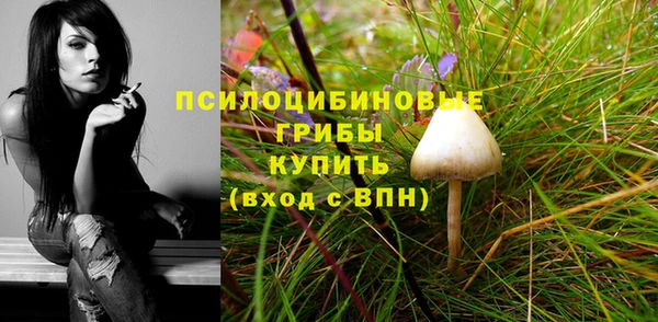 ГАЛЛЮЦИНОГЕННЫЕ ГРИБЫ Лагань