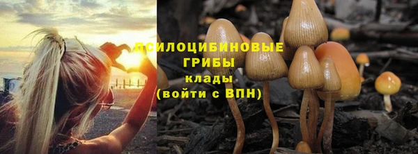 а пвп мука Кукмор