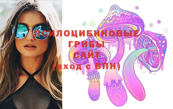 индика Кулебаки