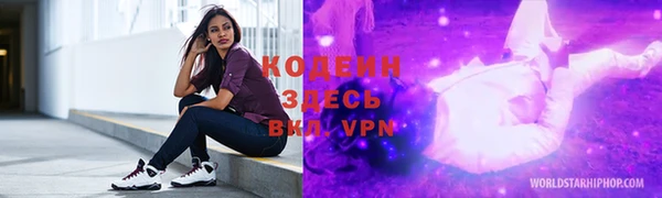 индика Кулебаки