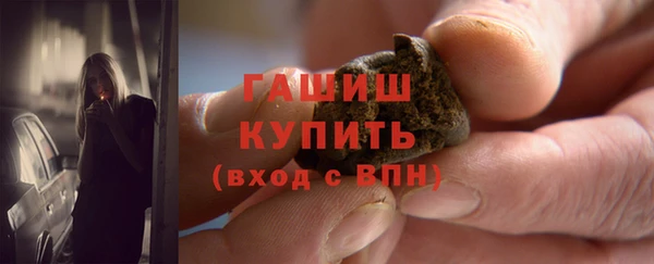 индика Кулебаки