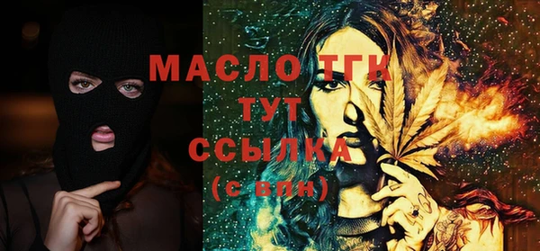 индика Кулебаки