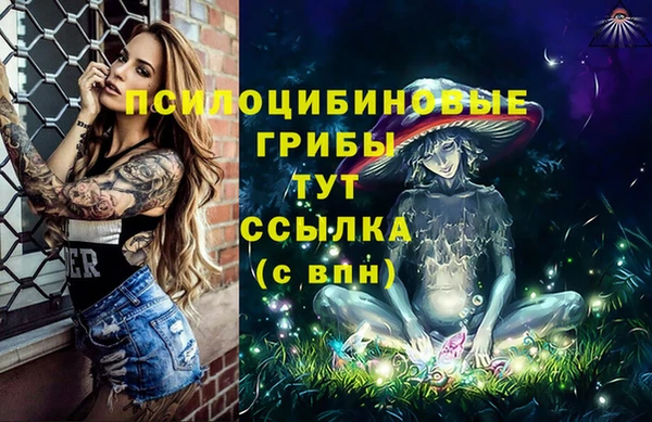 а пвп мука Кукмор