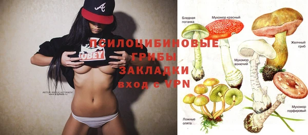 а пвп мука Кукмор