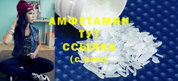 индика Кулебаки