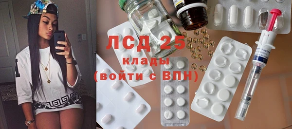 PSILOCYBIN Ладушкин