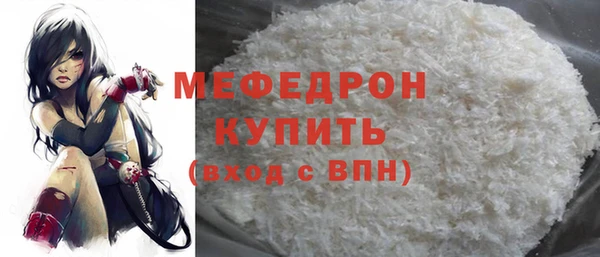 индика Кулебаки