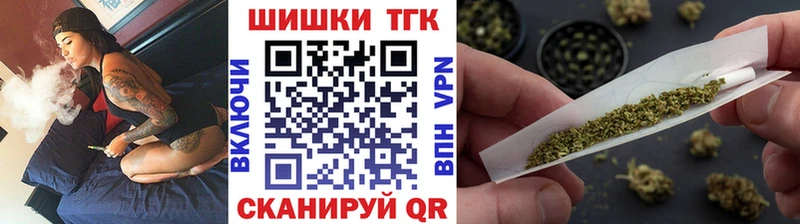 Бошки Шишки планчик Анива